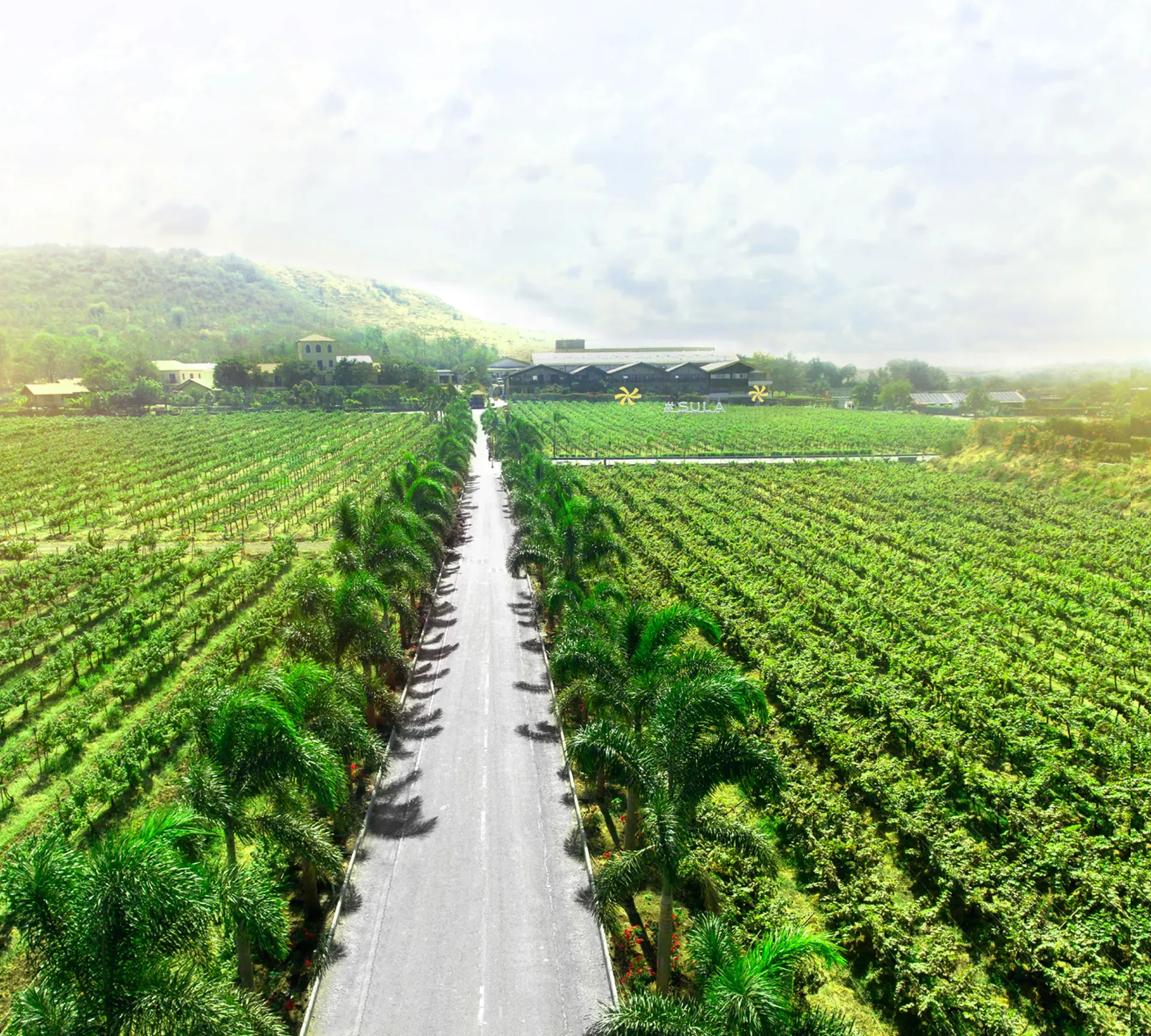 Nashik - Ghats and Vineyard Experience