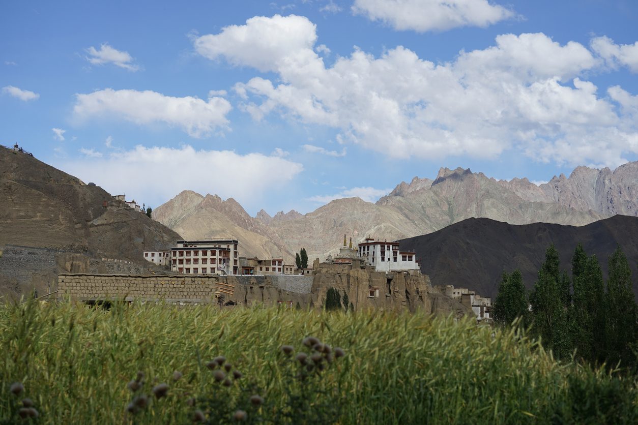 Leh Ladakh Gallery 18