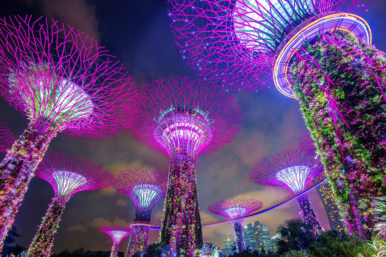 Private Singapore City Tour, Gardens by the Bay & SkyPark
