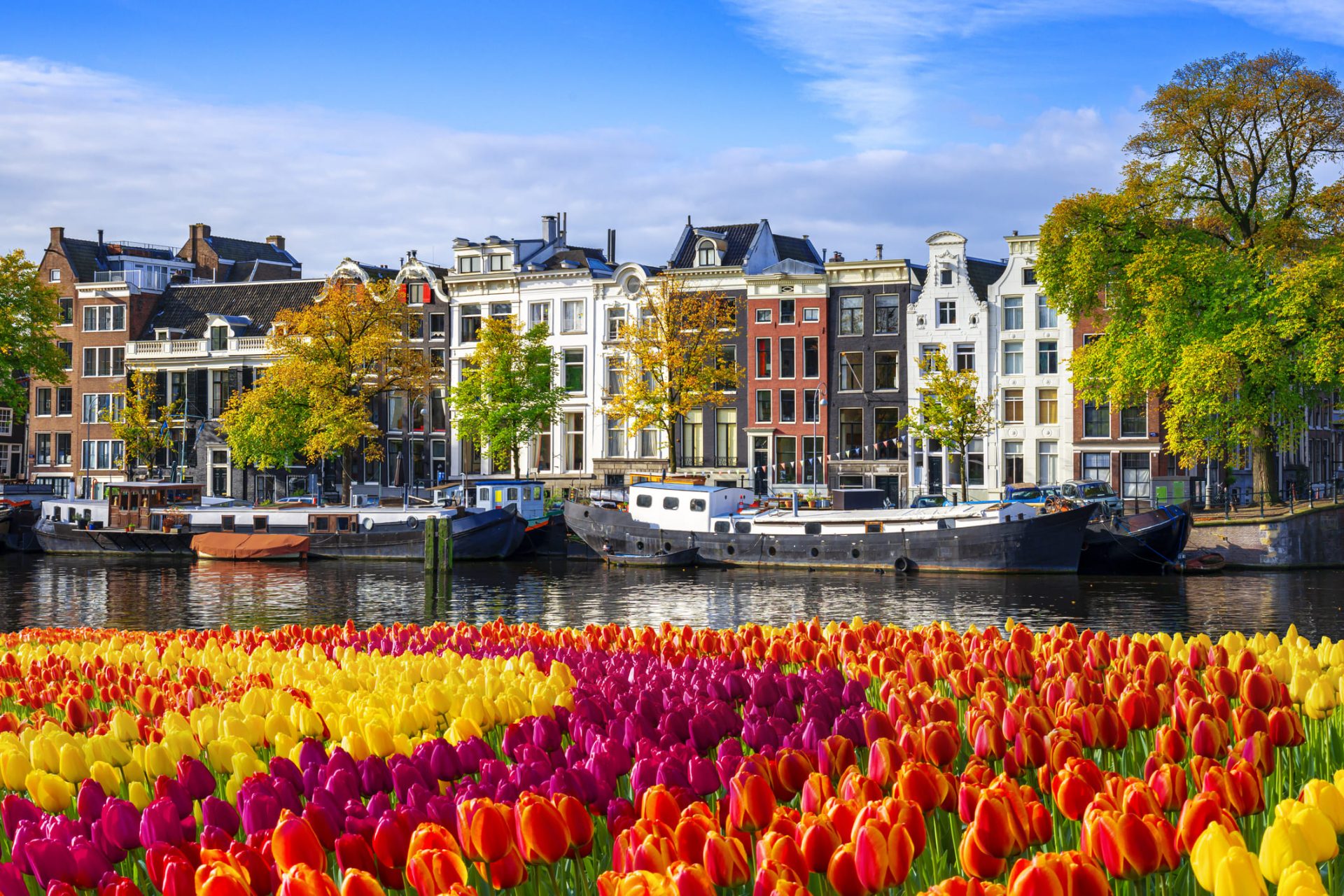 Madurodam and Amsterdam canal cruise