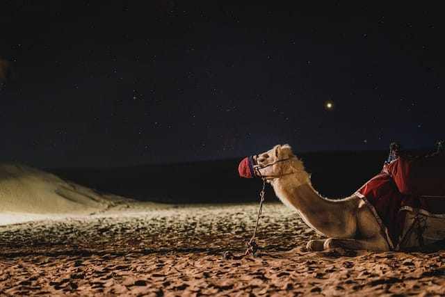 Dubai Desert Camp