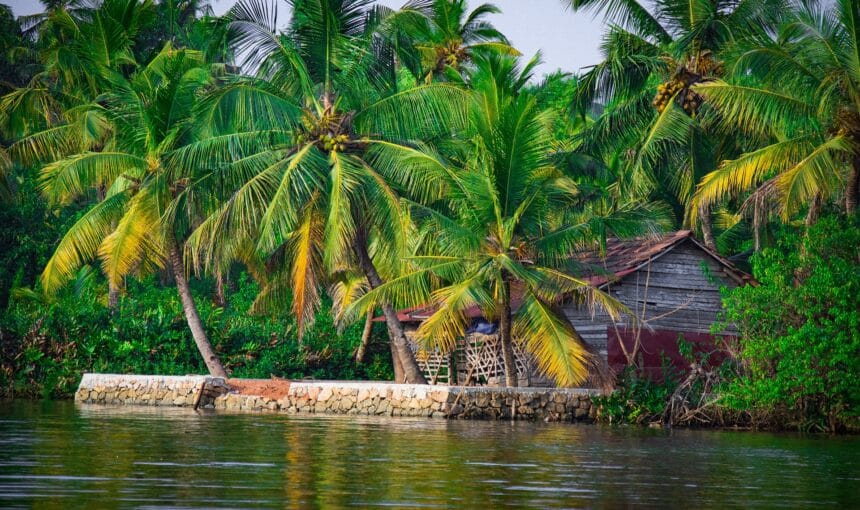 6 Nights 7 Days Kerala Tour Package