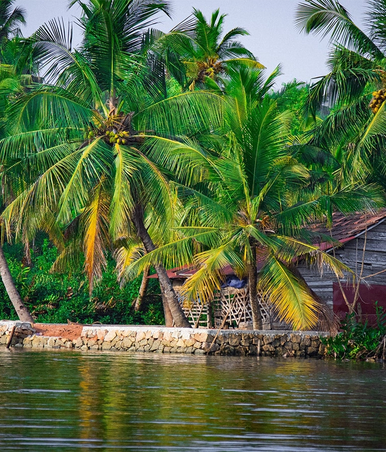 View from houseboat in backwaters in Kerala