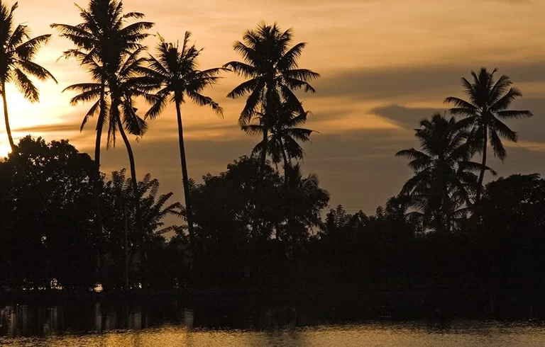 Beautiful sunset view from backwaters in Alleppey in Kerala