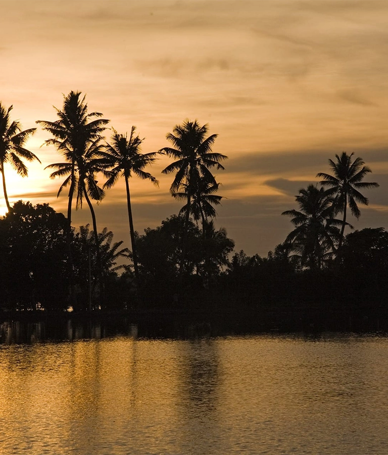 Beautiful sunset view from backwaters in Alleppey in Kerala