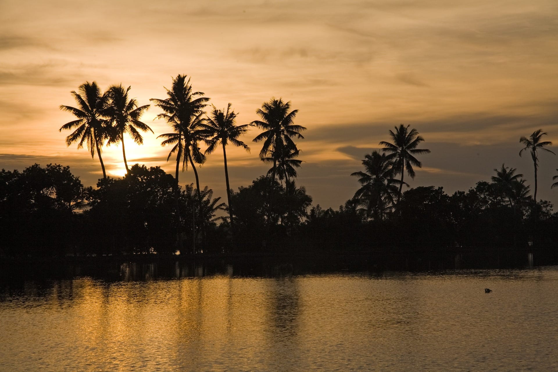 Kerala Backwaters