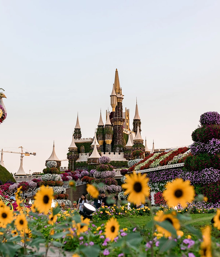 Dubai miracle garden in a sunny day , United Arab Emirates, Middle East